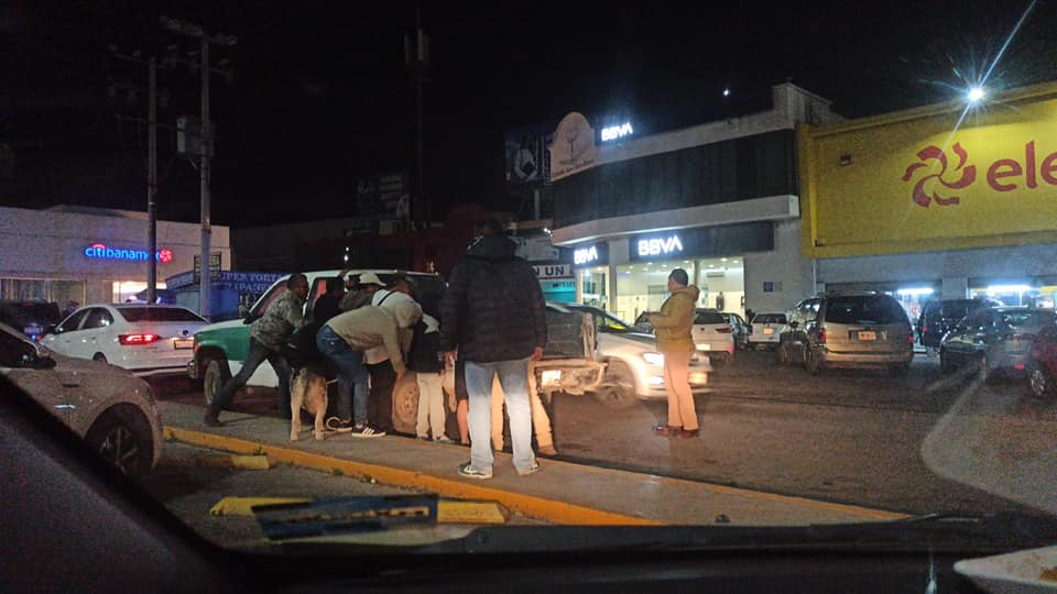 Liberan a perritos que habían sido “secuestrados” en Pachuca