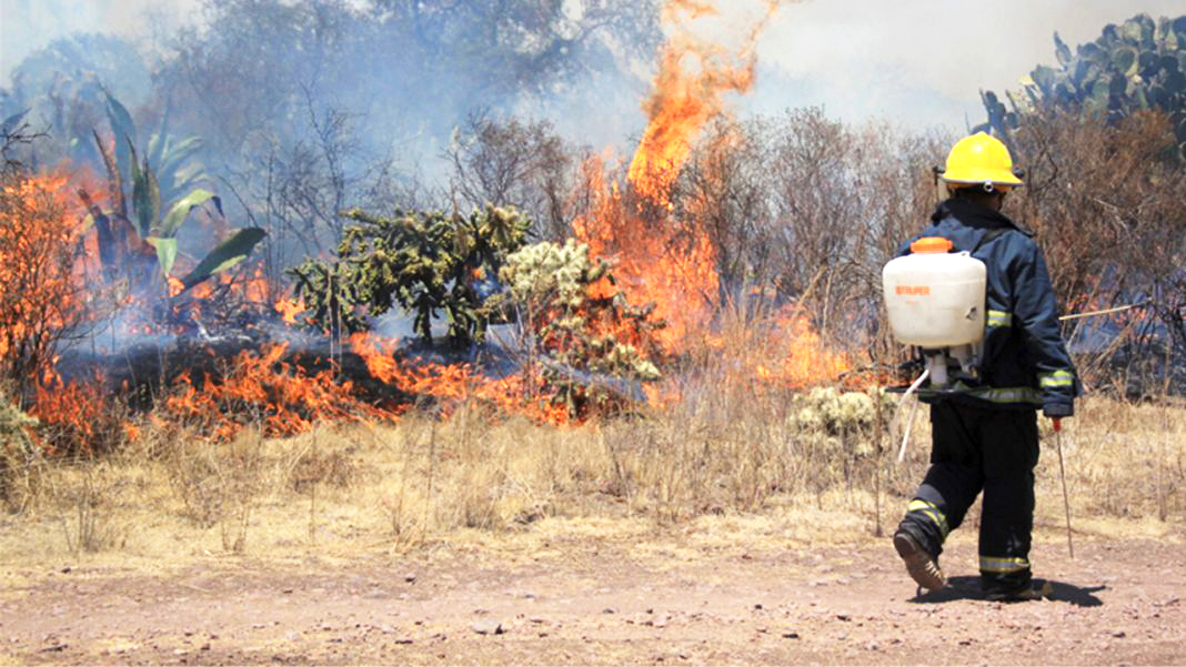 Incendios forestales en Hidalgo: Van 40 y se prevé año récord