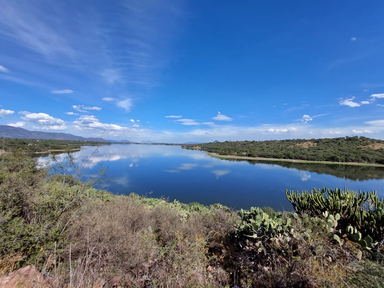 Salud Hidalgo combatirá plaga de mosco en presa Endhó