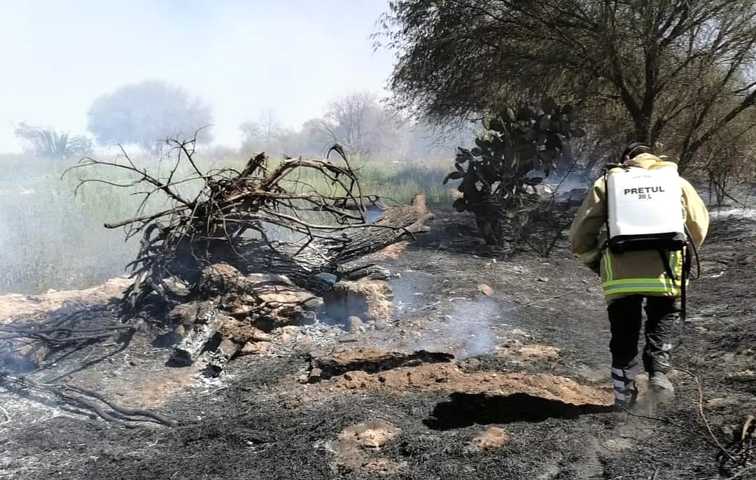 Este año prevén disminución de incendios forestales en Alfajayucan