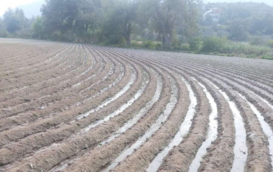 Bienestar insiste en uso de biosólidos para parcelas; lleva dos años sin respuesta