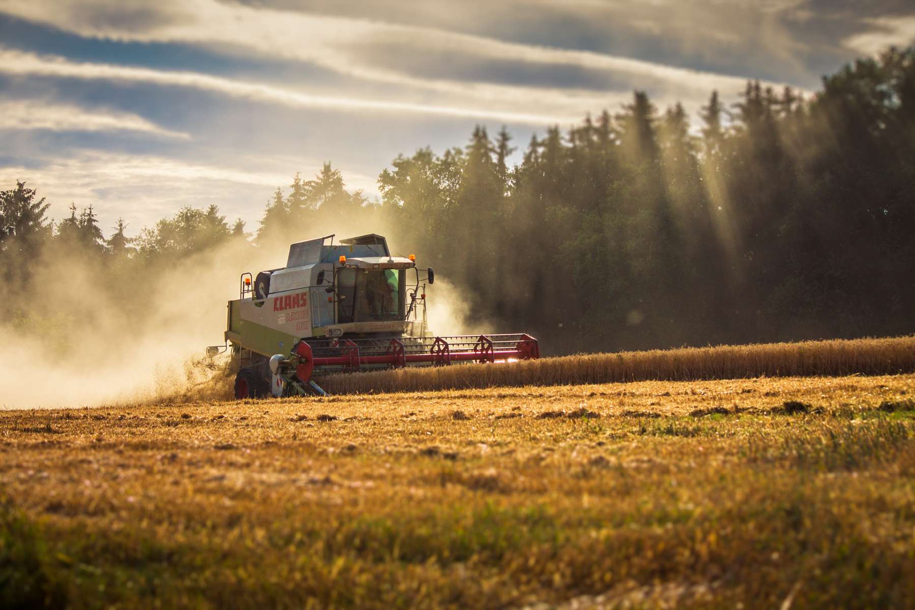 Aumento en presupuesto traerá beneficios directos a productores: Sedagroh