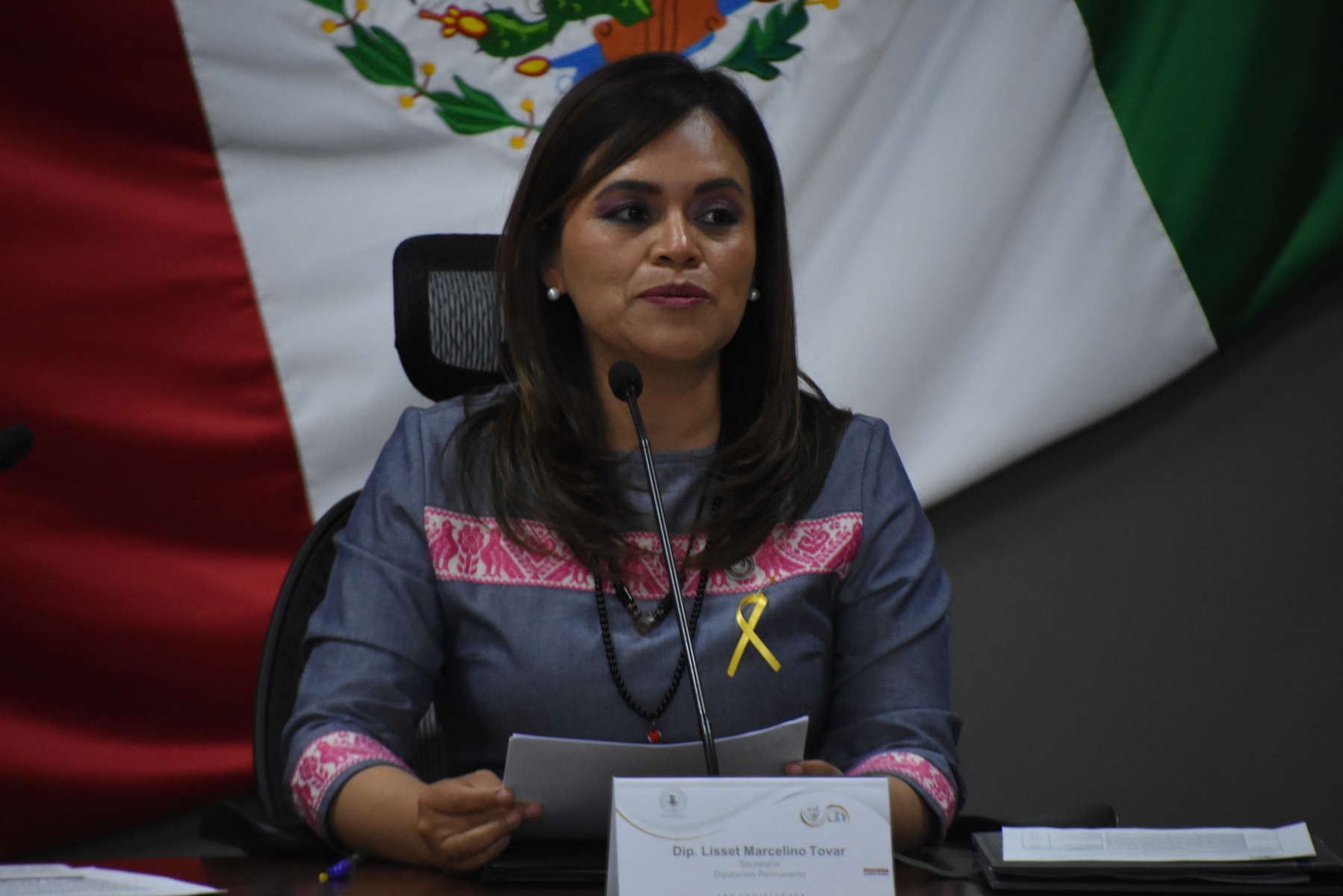 Reforma Electoral de Menchaca aprobada muestra respaldo de ciudadanía: Lisset Marcelino