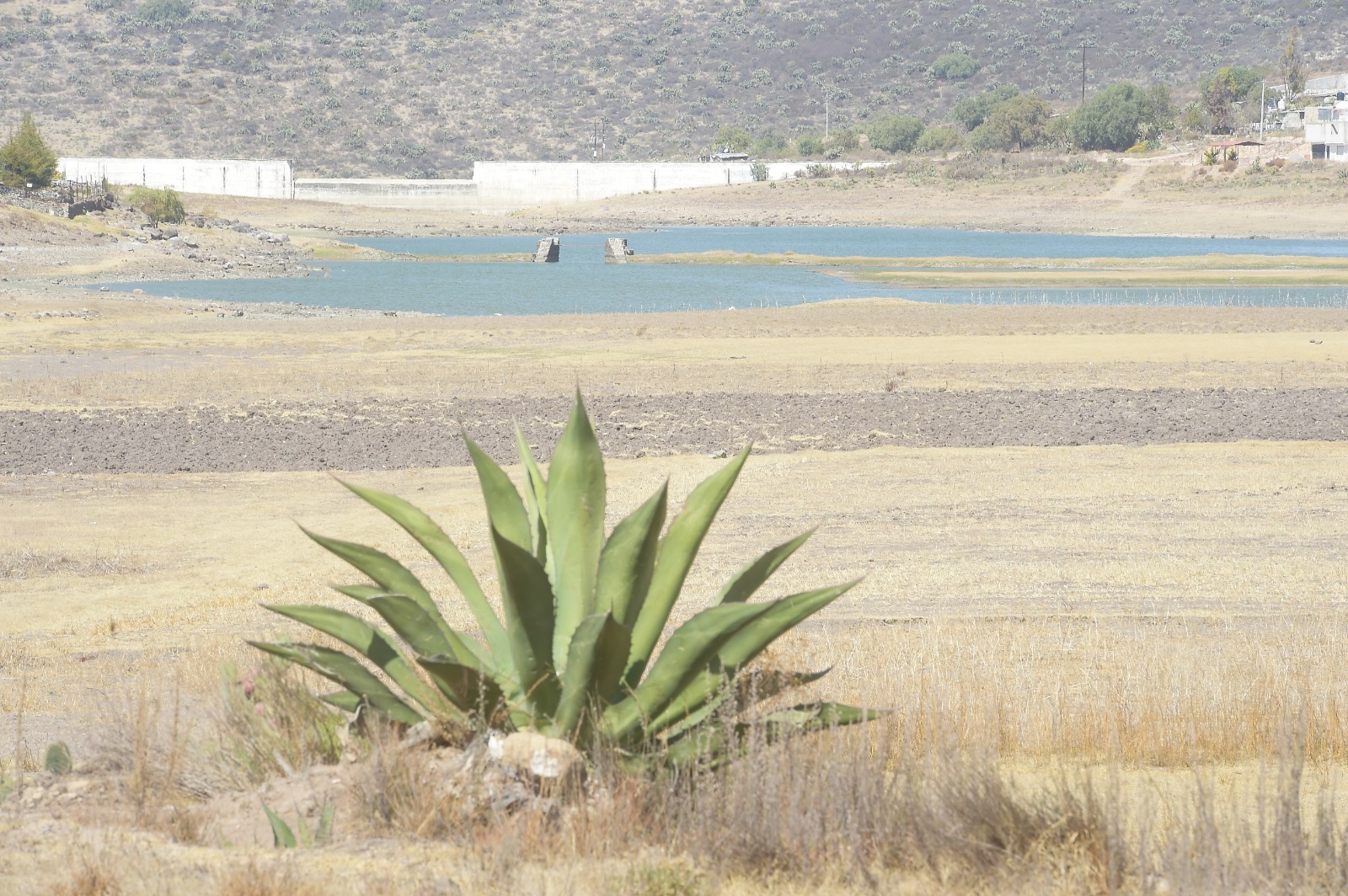 Hidalgo se seca: el 100% del estado, acumula tres quincenas en sequía