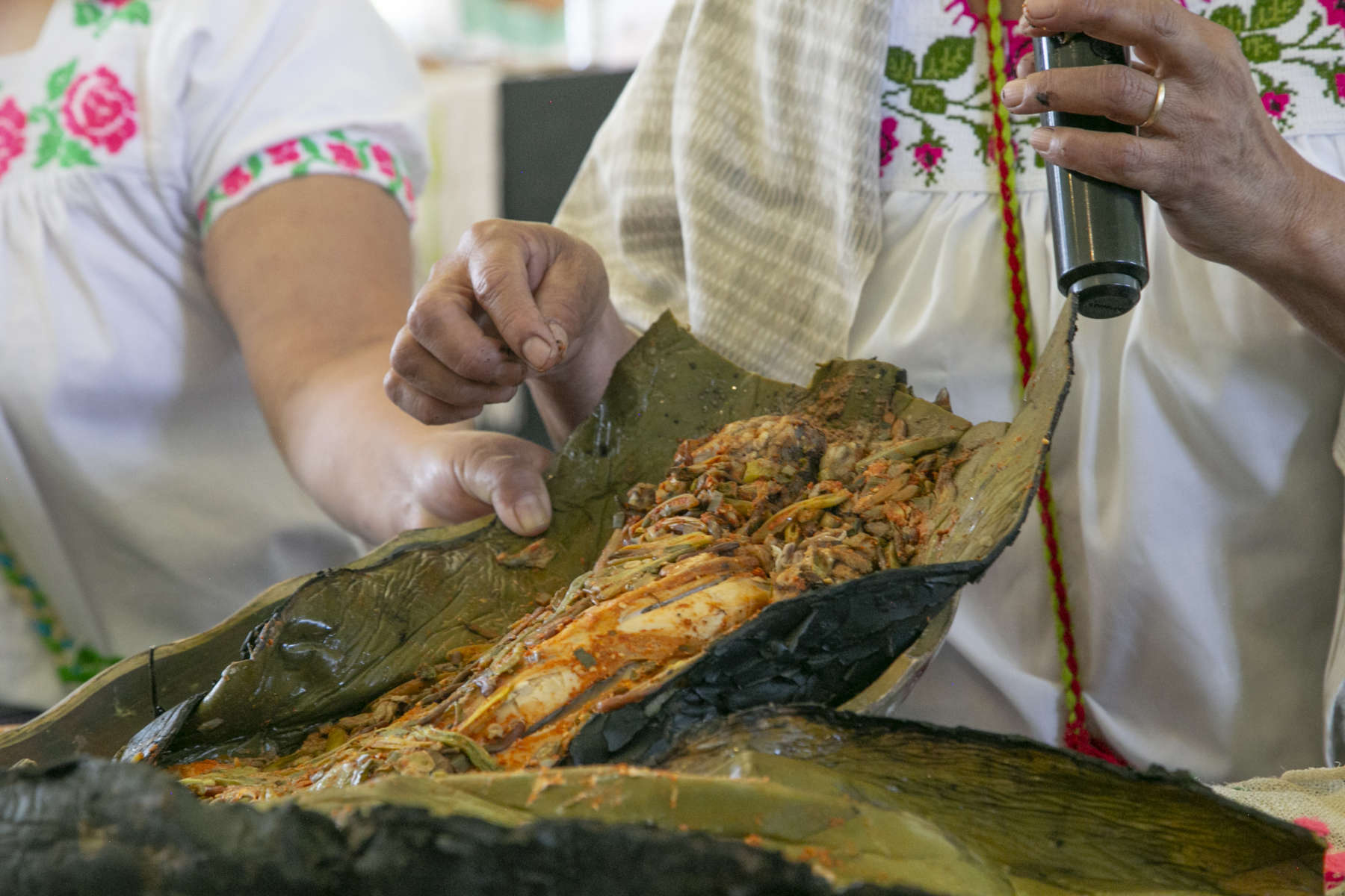 Muestra Gastronómica de Santiago de Anaya 2023: abren convocatoria