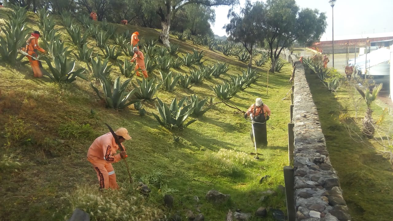 Palacios Cadena obligaba a personal de SOPOT a limpiar rancho de exsecretario