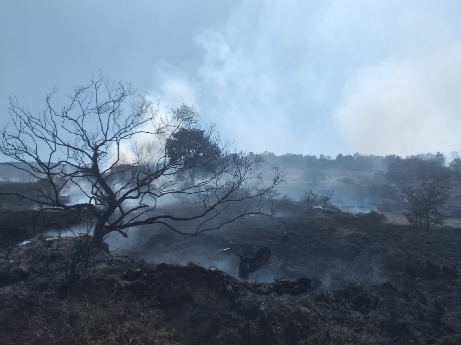 Prevén incendios en Tulancingo por sequía extrema