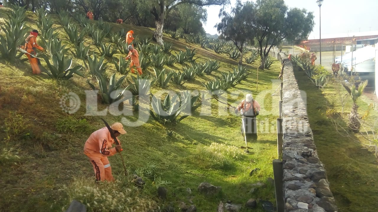 SOPOT: Usaban a personal de Obras para limpiar rancho de Meneses y fundación de Israel Felix