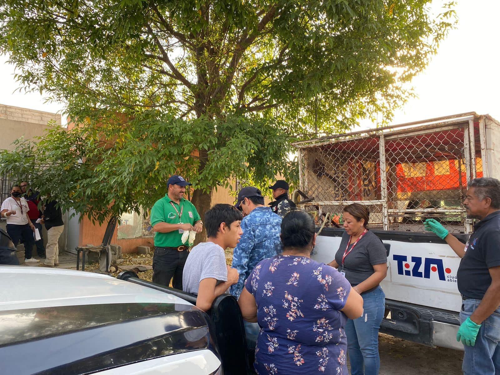 Rescatan a 10 perros en condiciones precarias en Tizayuca