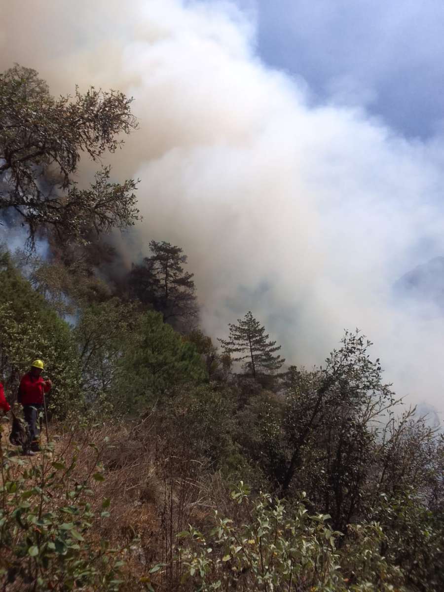 Incendio en Cerro del Águila consume 5 hectáreas