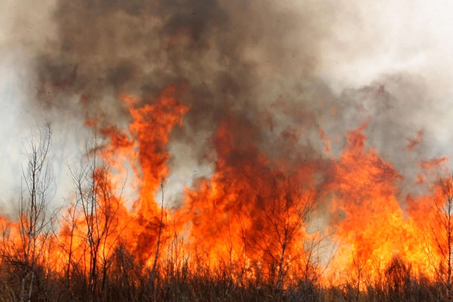 En Hidalgo se controlaron 48 incendios en dos días: Protección Civil