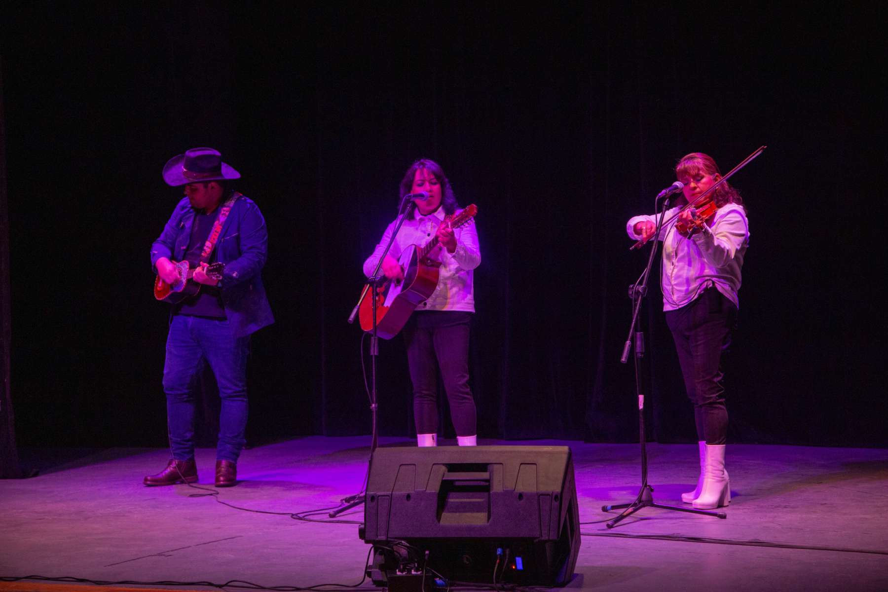 Festival Musical Raíz México con actividades gratuitas en el Romo de Vivar