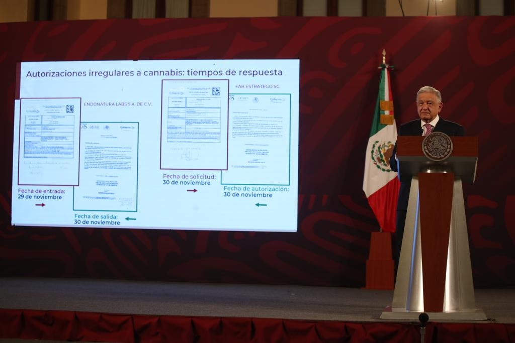 Critica AMLO “influyentismo” de Fox por negocios de mariguana