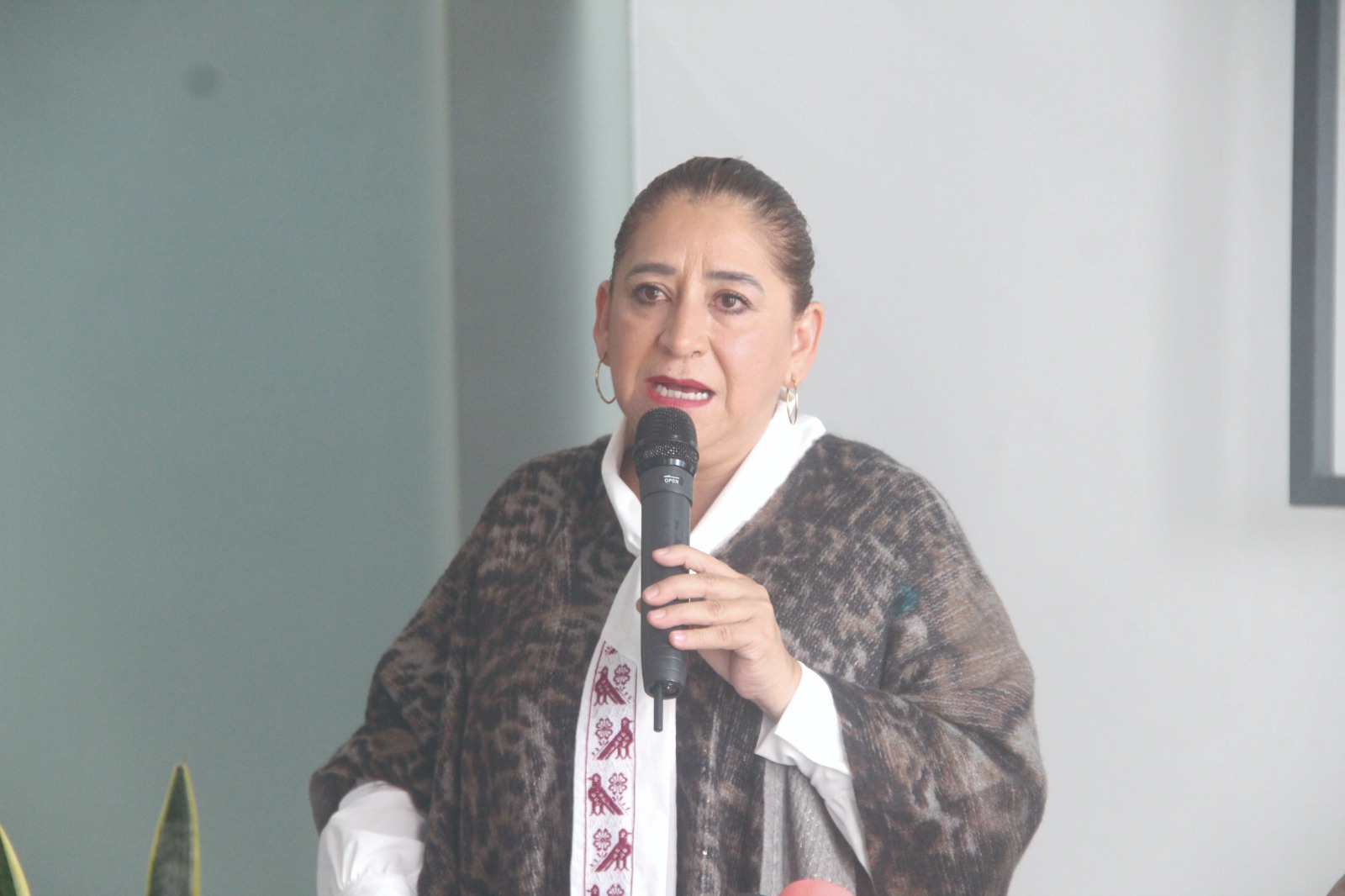 Falta colaboración de Pachuca con Turismo: Elizabeth Quintanar