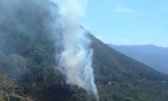 Reportan incendio forestal en Jacala