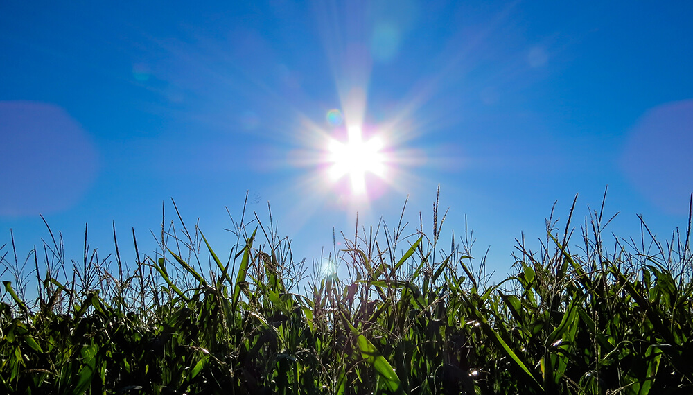 Hidalgo afectado por ola de calor, prevén temperaturas de hasta 46 grados