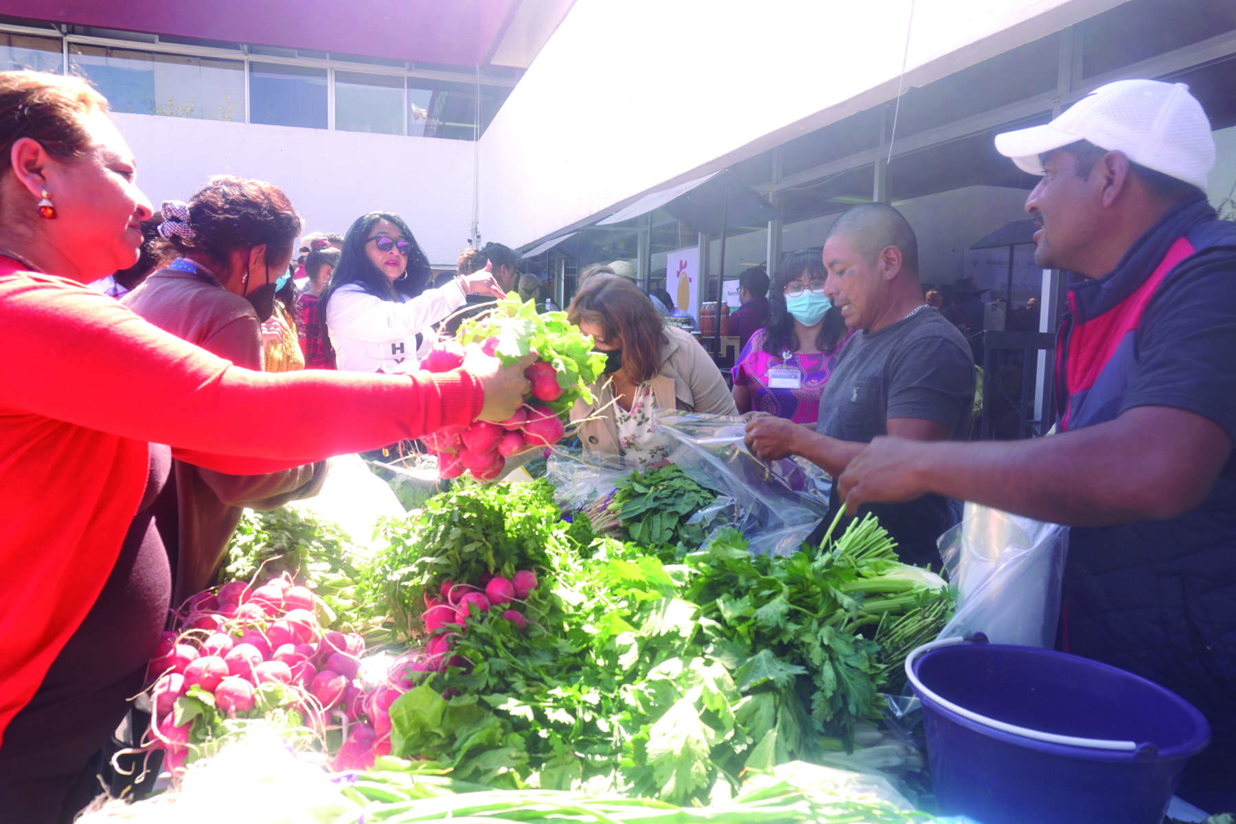 Comerciantes en Hidalgo: Tres municipios concentran el 50%