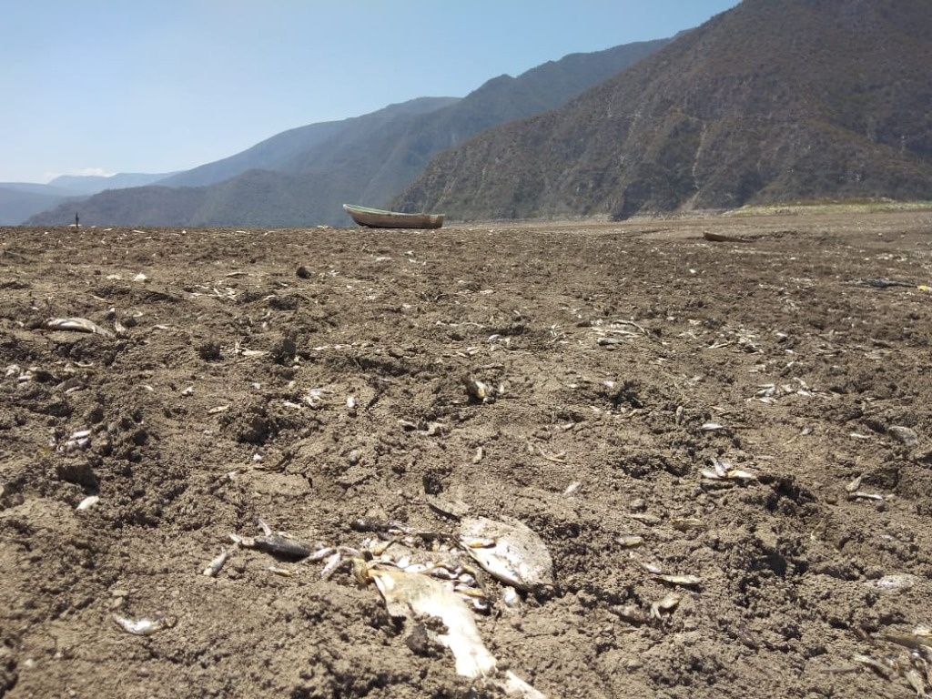 Laguna de Metztitlán: pierde profundidad, buscarán regresarla a los 10 metros