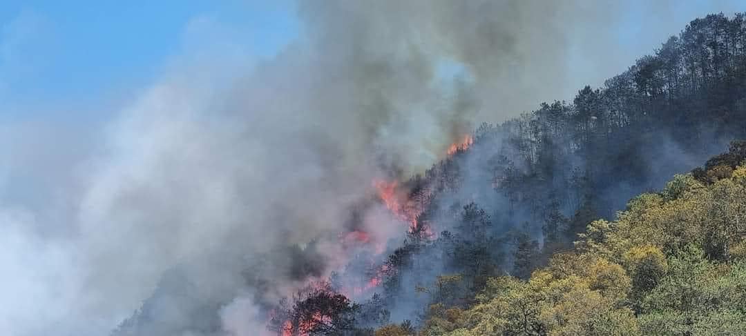 Incendio forestal en Nicolás Flores: Quema de basura provocó el fuego