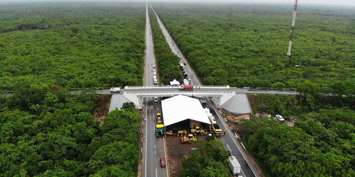 Expropia Sedatu 147 hectáreas para Tren Maya