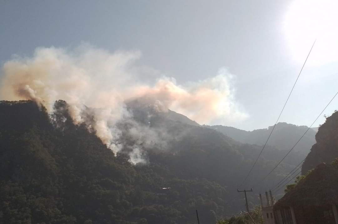 Incendio forestal en Nicolás Flores consume más de 10 hectáreas