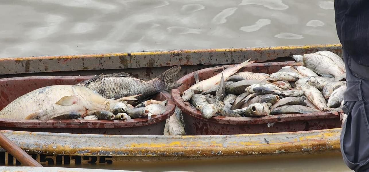 Tepeji alerta a población para que no compre pescado de la presa Requena