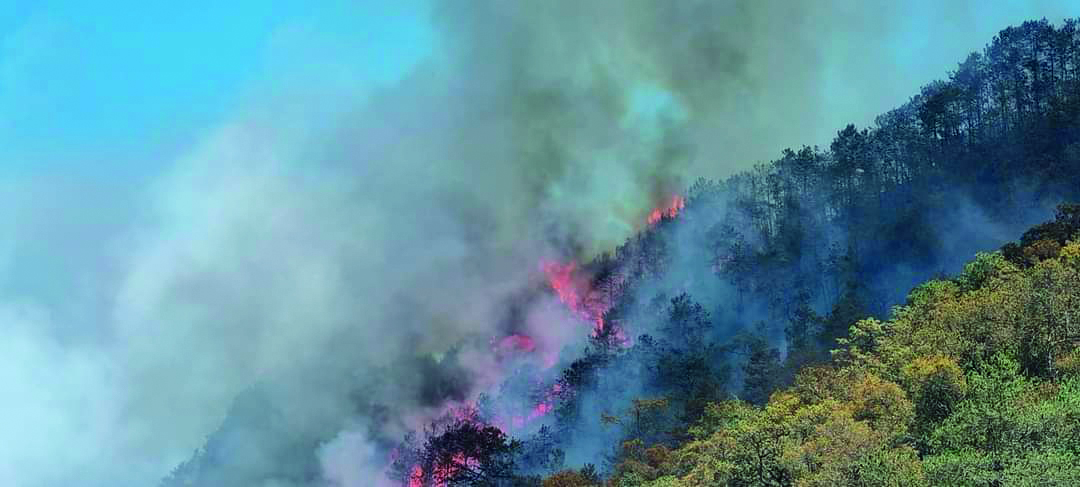 Más de 100 incendios forestales han afectado mil 370 hectáreas en Hidalgo