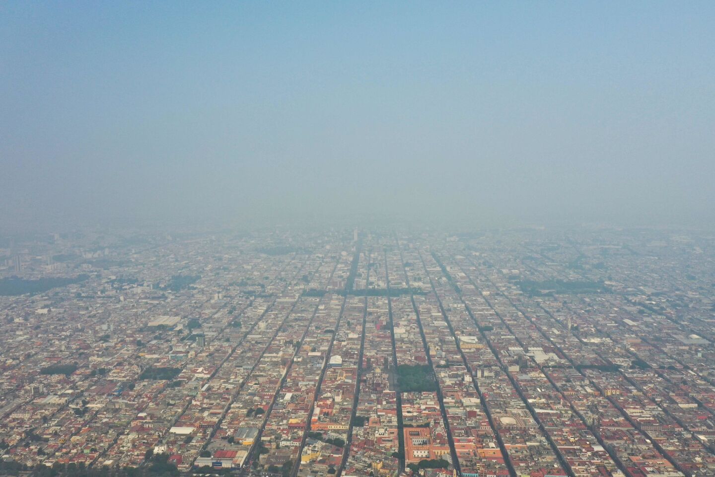 Atitalaquia busca contrarrestar mala calidad del aire con árboles