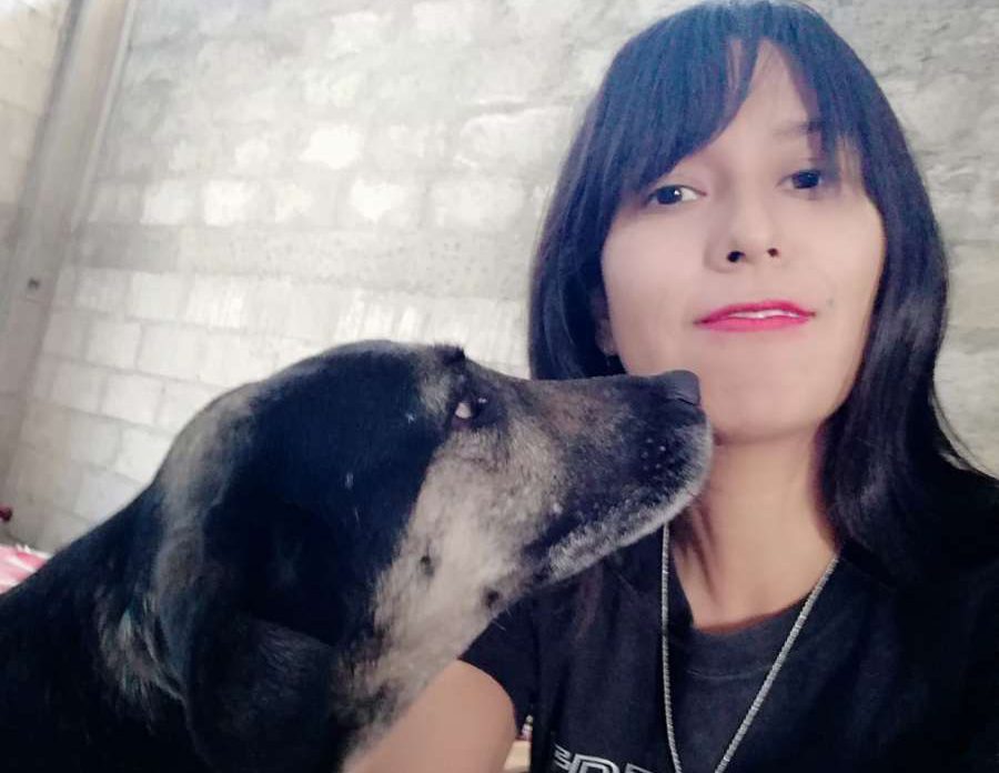 Cuatro patitas un corazón: 10 años de defensa animal