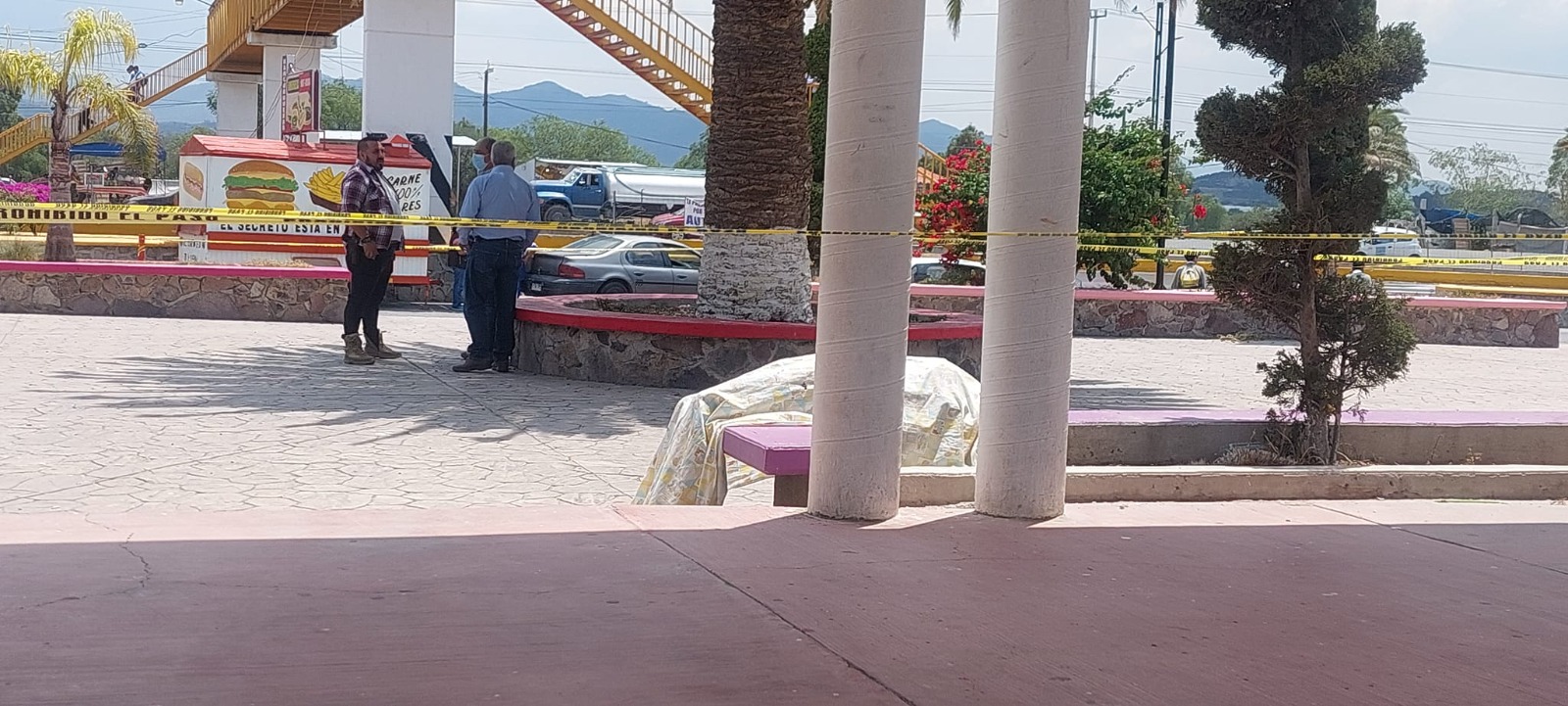 Trágico suceso en El Arenal: Mujer pierde la vida en una jardinera del centro