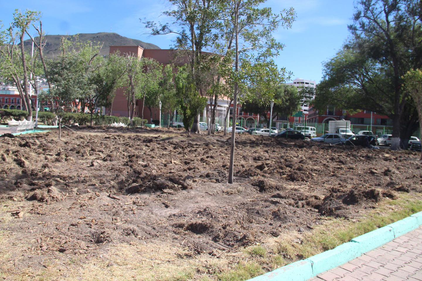 Jardín de los hombres ilustres en Pachuca: ¿cuándo lo reforestarán? Te decimos