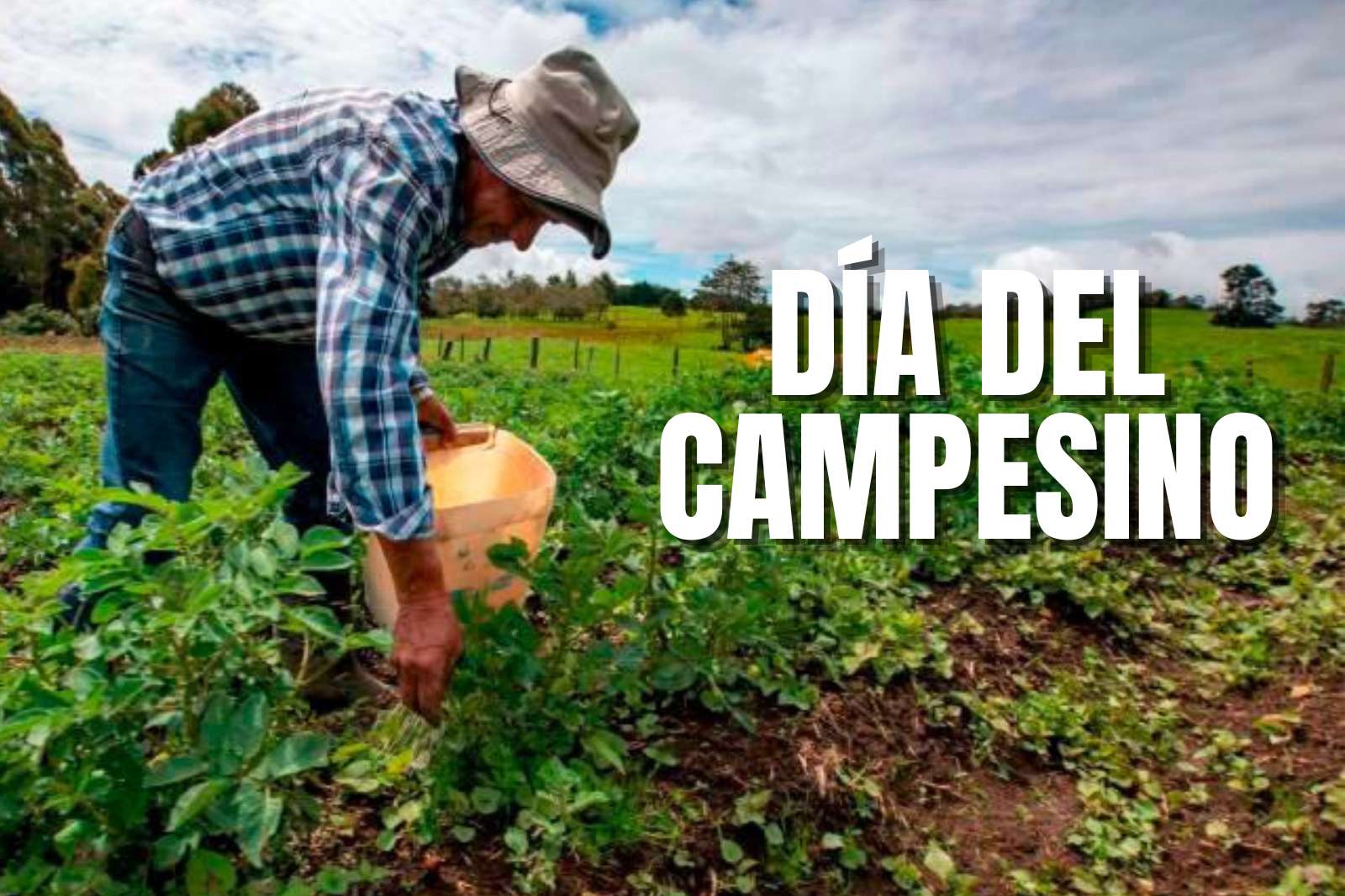 Día del campesino: proponen que en diciembre se conmemore