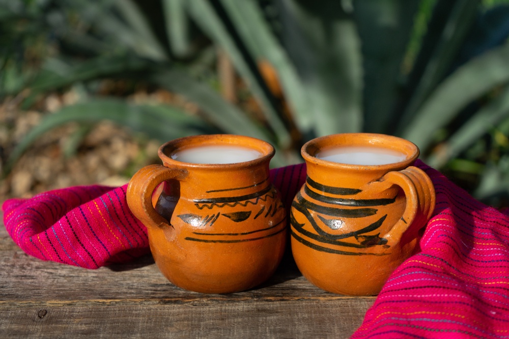 Proponen declarar a la elaboración del pulque como patrimonio cultural inmaterial