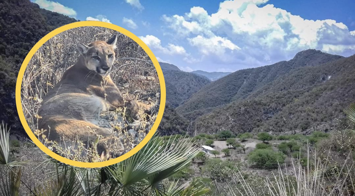 Actopan: prevén inauguración de parque ecoturístico ‘El Puma’ en próximos meses