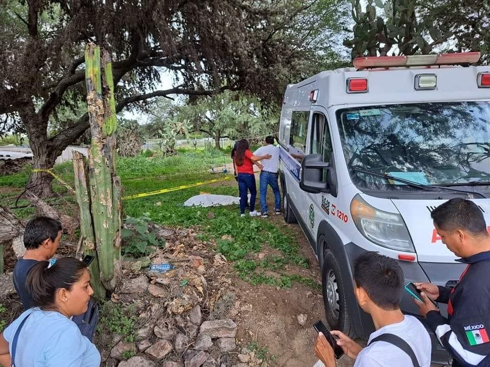 Muere adulta mayor atacada por perros en Hidalgo