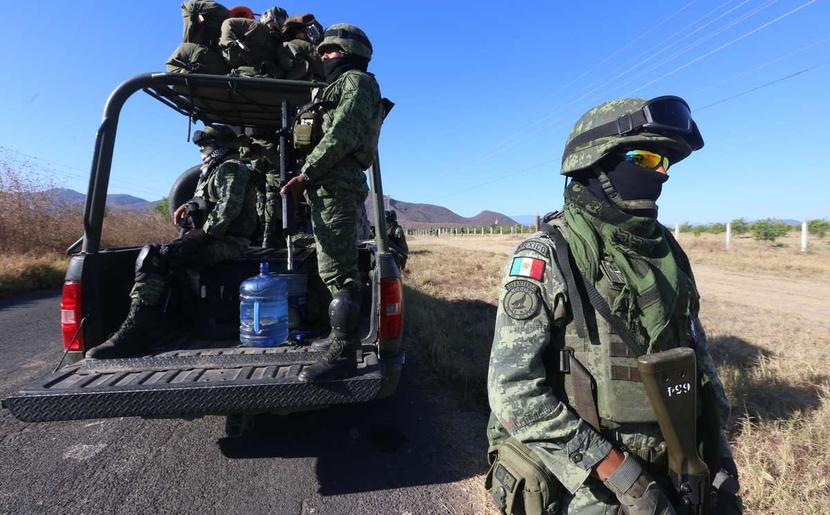 Aseguran casi 25 mil kilos de marihuana y metanfetamina en Hidalgo