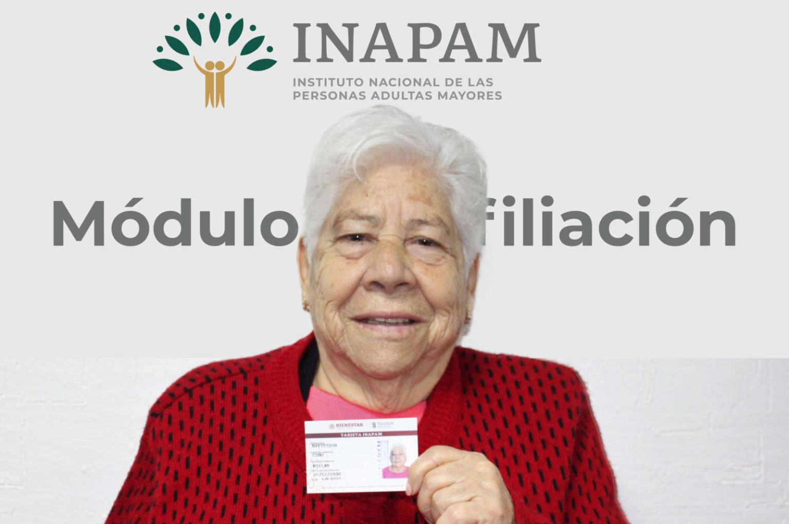 Credencial del Inapam: ¿cómo tramitarla?