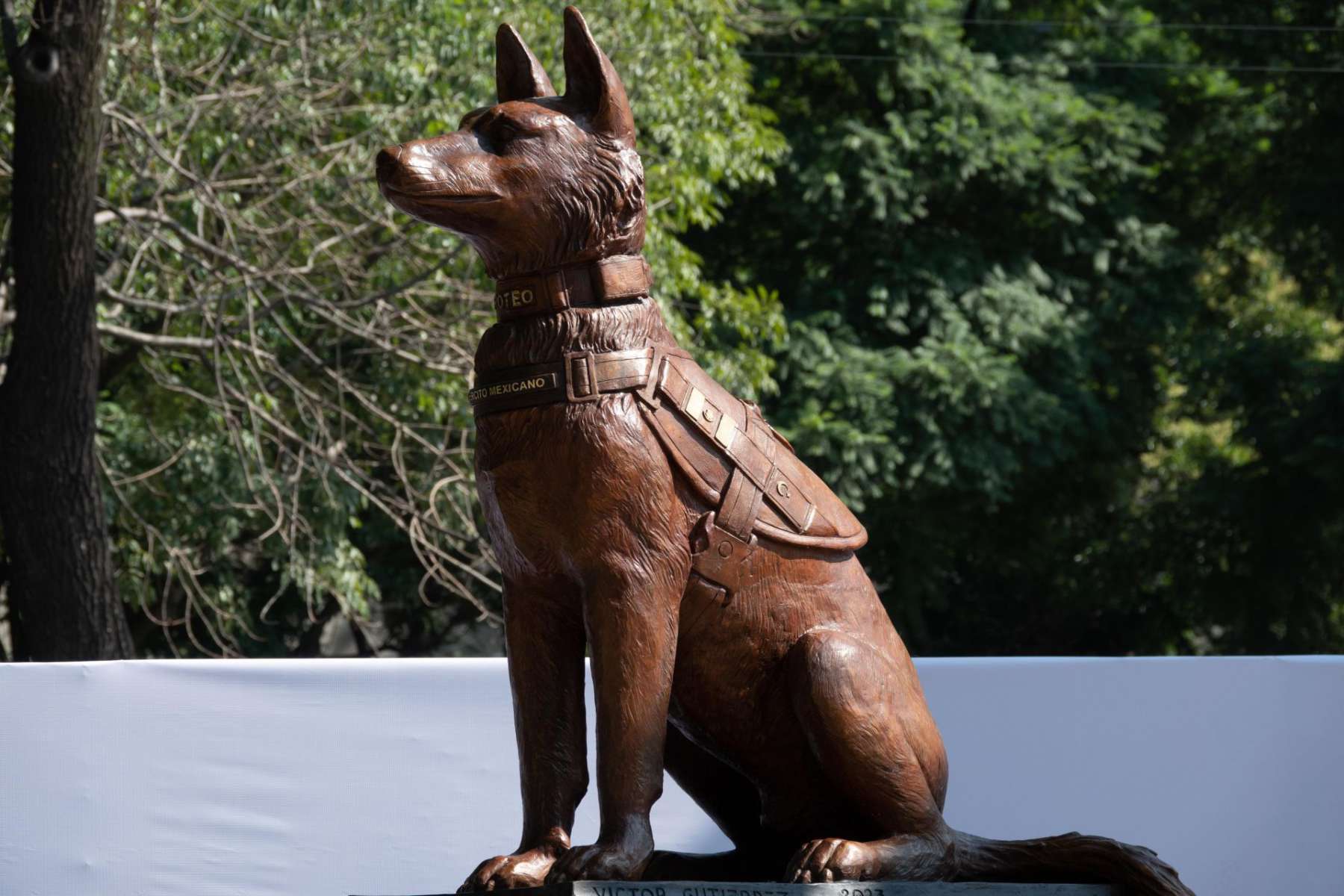 Devela Sedena estatua del perro de rescate Proteo