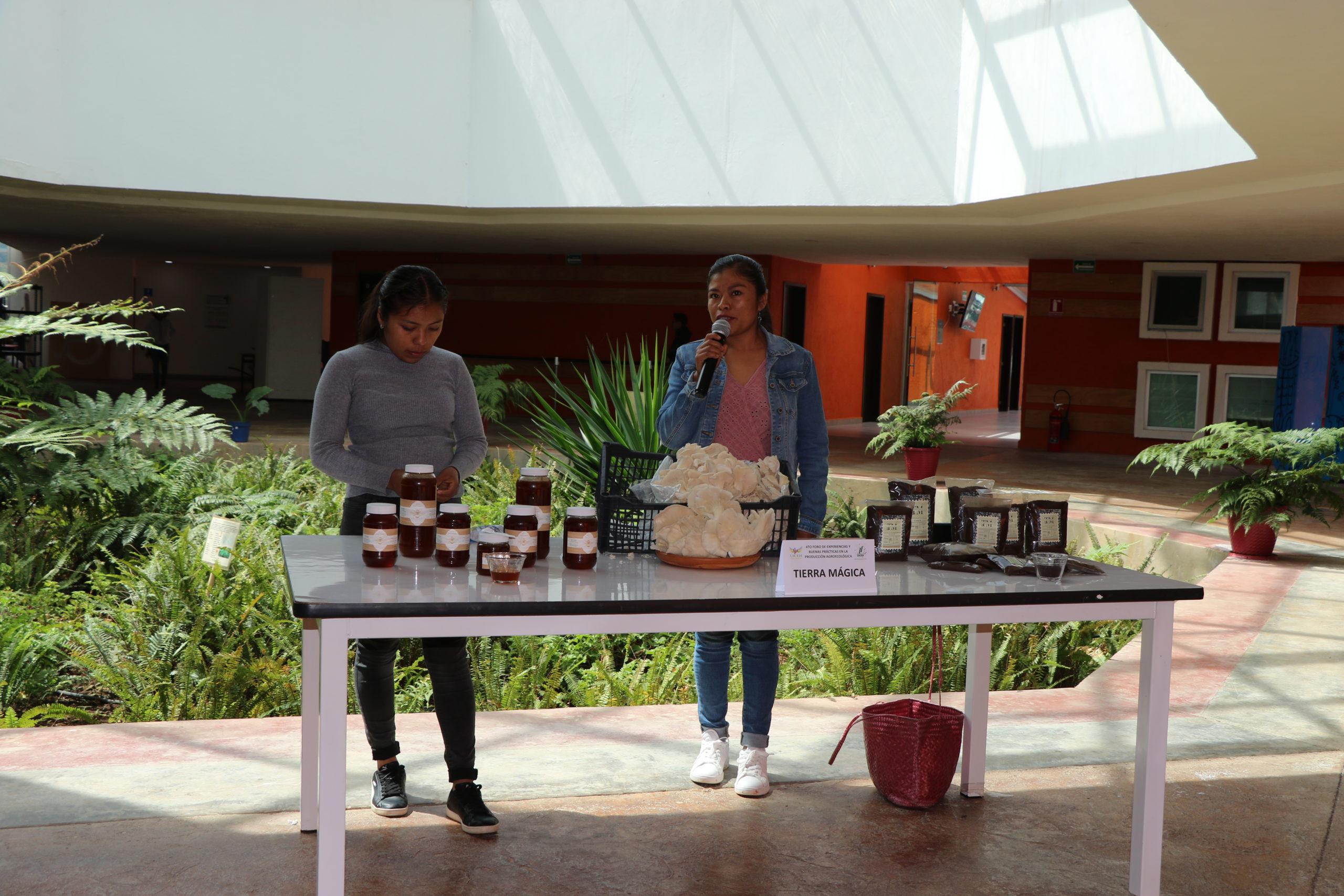 UICEH en Tenango de Doria organizó foro de buenas prácticas agroecológicas