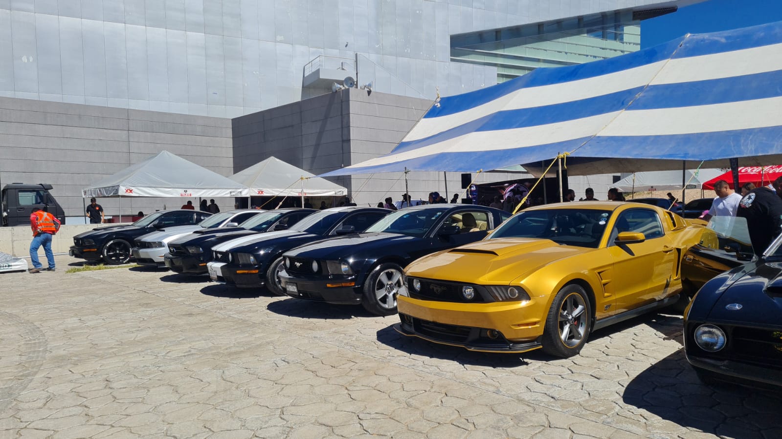 Club hidalguense de mustangs celebra 10 años de trayectoria