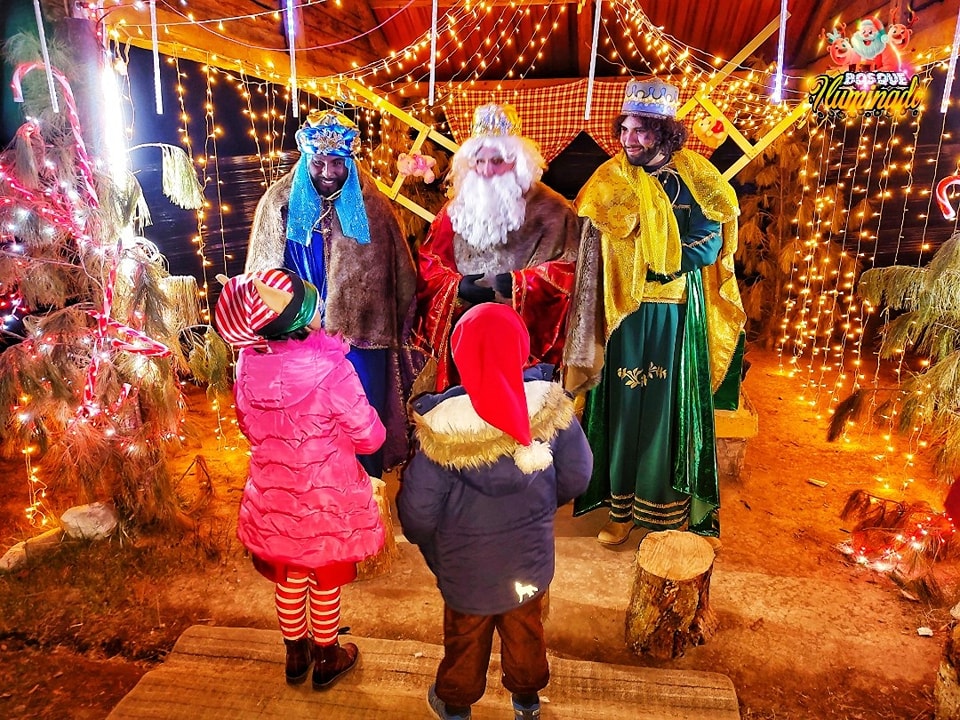 Bosque Iluminado en Pachuca: una experiencia mágica para esta Navidad