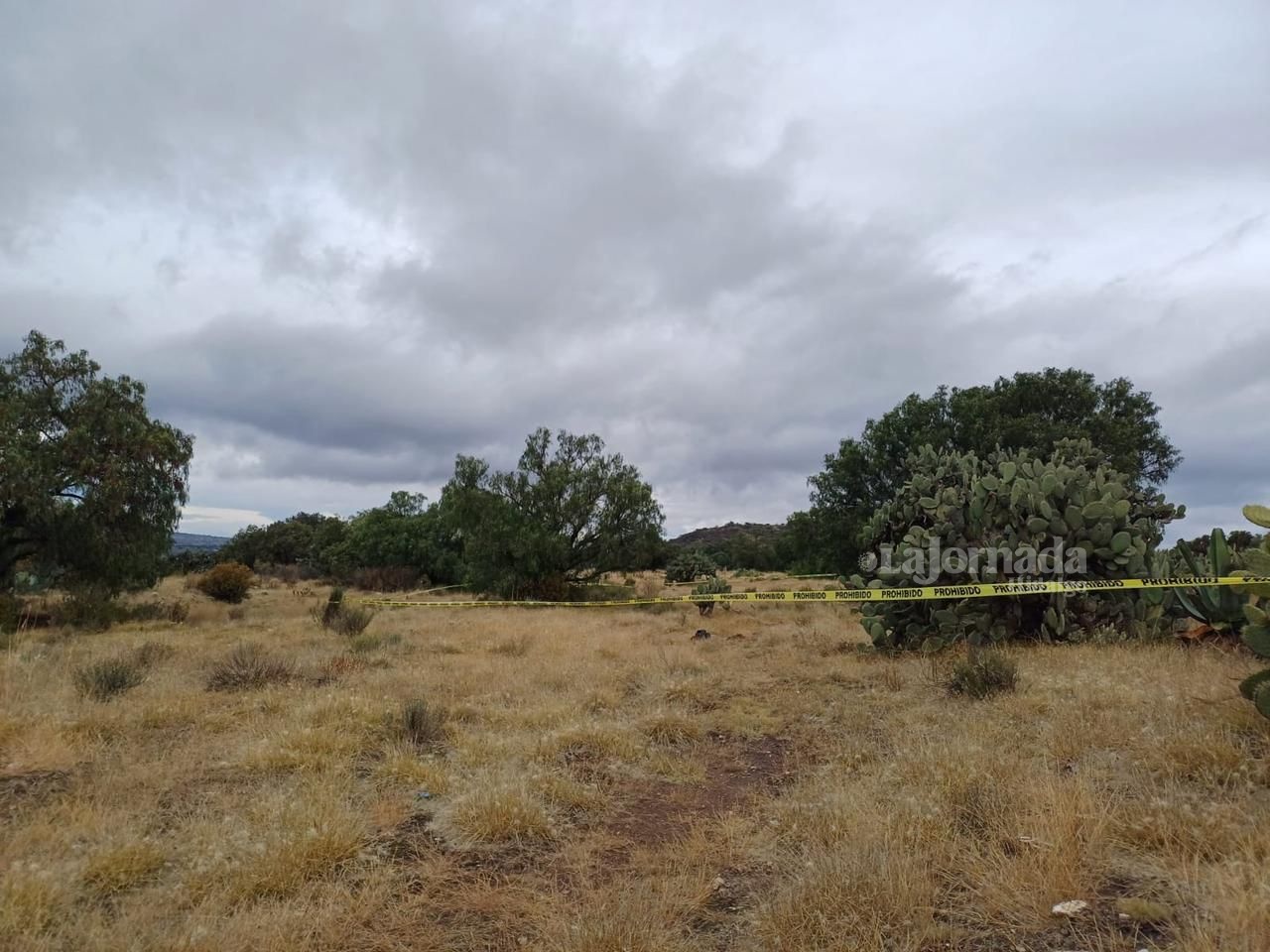 Acueducto Padre Tembleque: hallan cadáver; era devorado por perros