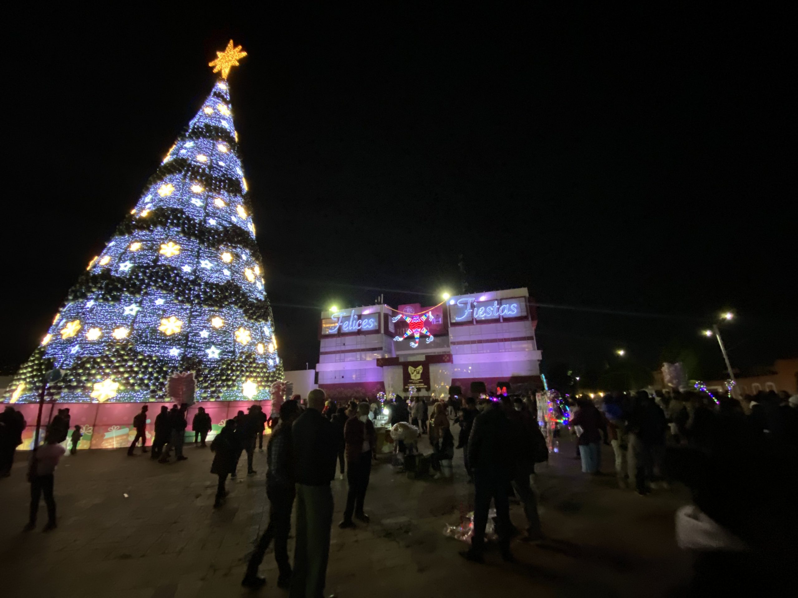 Plaza Juárez Pachuca: instalación y desmontaje de Árbol de Navidad costará 1.8 mdp