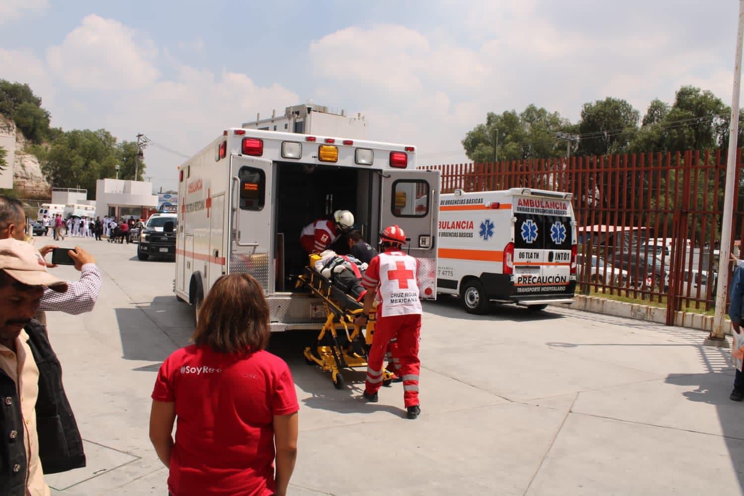 Tula de Allende: perros atacan a abuelita en cerro de Montealegre