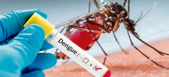 Ni con el frío da tregua dengue en Hidalgo; 26 nuevos casos esta semana