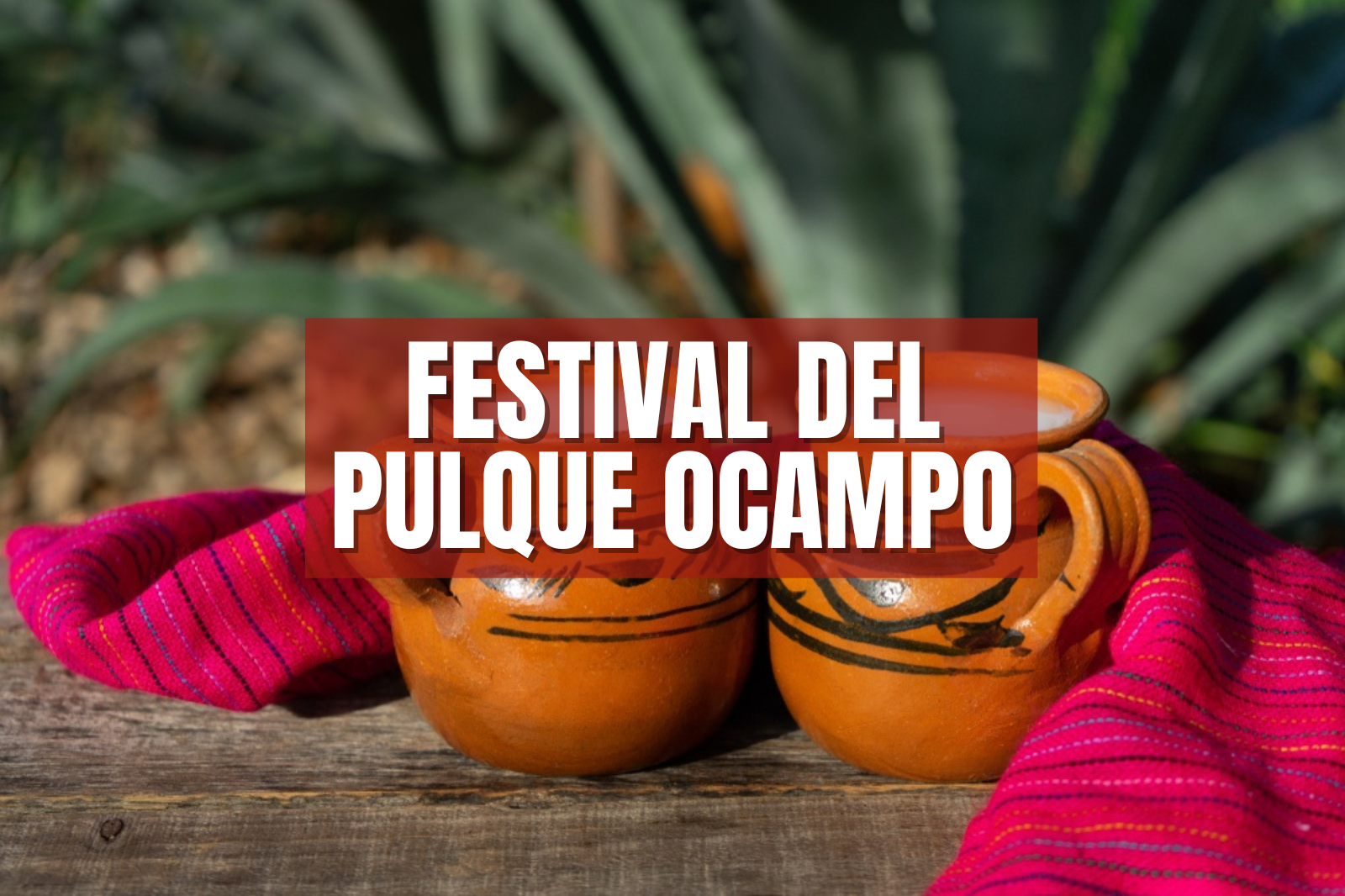 Festival del Pulque Ocampo: dónde y cuándo se realizará