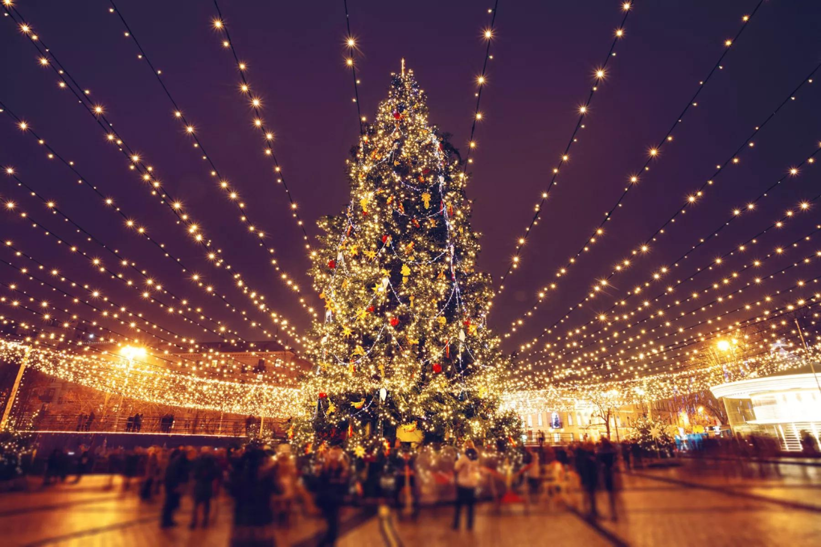 ¿Cuándo será el encendido del árbol en Pachuca? Aquí te decimos