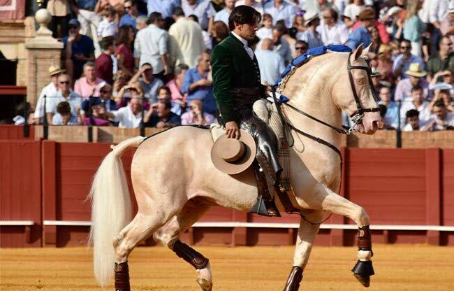 Plaza de Toros Vicente Segura: vuelve el rejoneador Diego Ventura