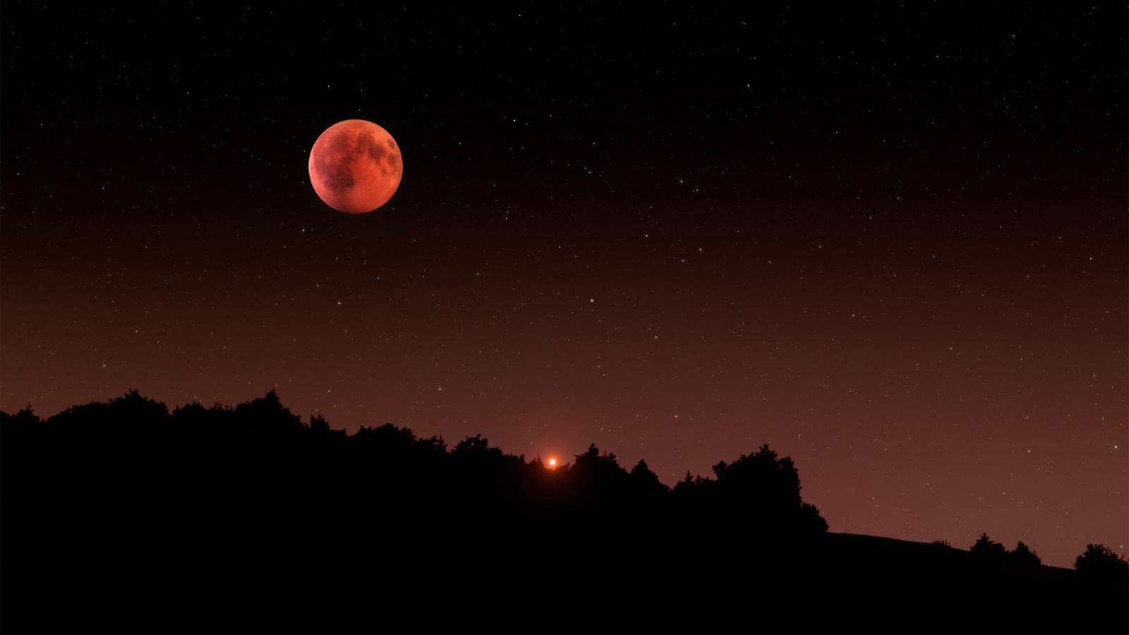 ¿Qué es la luna de castor y cuándo se podrá ver en Hidalgo? Te decimos