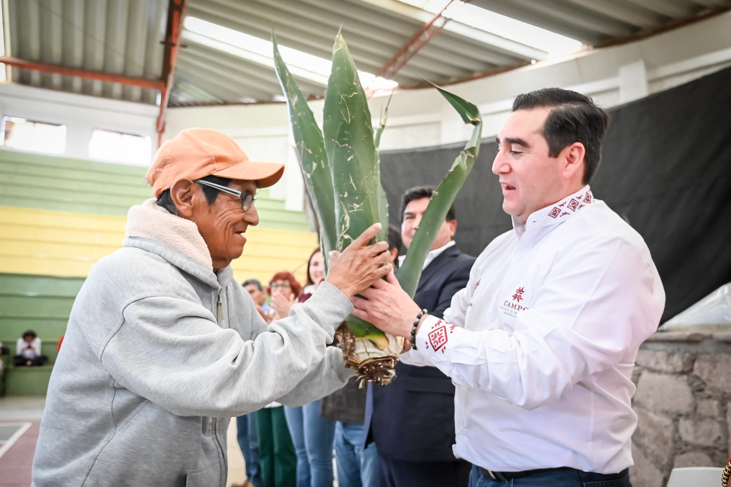 Saderh entregó 190 mil hijuelos de agave en 2023